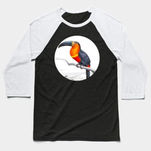 Toucan in nature Baseball T-Shirt